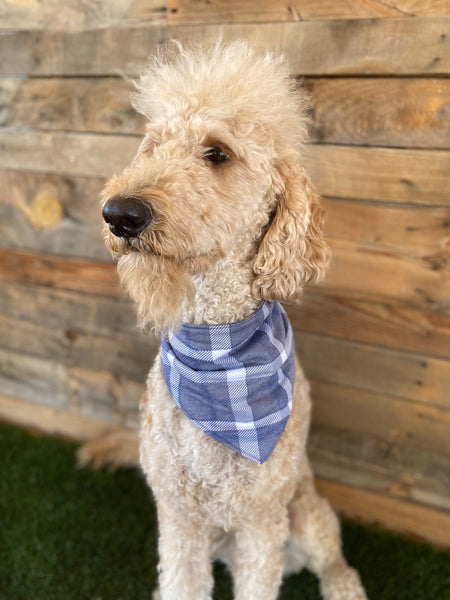 Grey, Blue, and Cream Plaid scARF