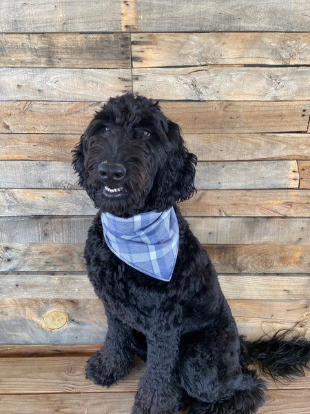 Grey, Blue, and Cream Plaid scARF