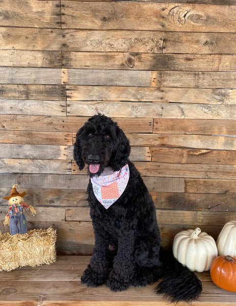 "I Love Fall Most of All" Faux Quilt scARF