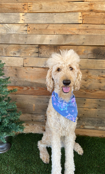 Multicolored Snowflakes on a Soft Steel Blue background scARF