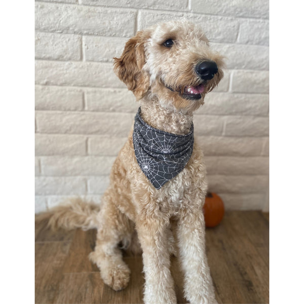 spider webs on soft black scarf dog bandana on dog Pipevine designs