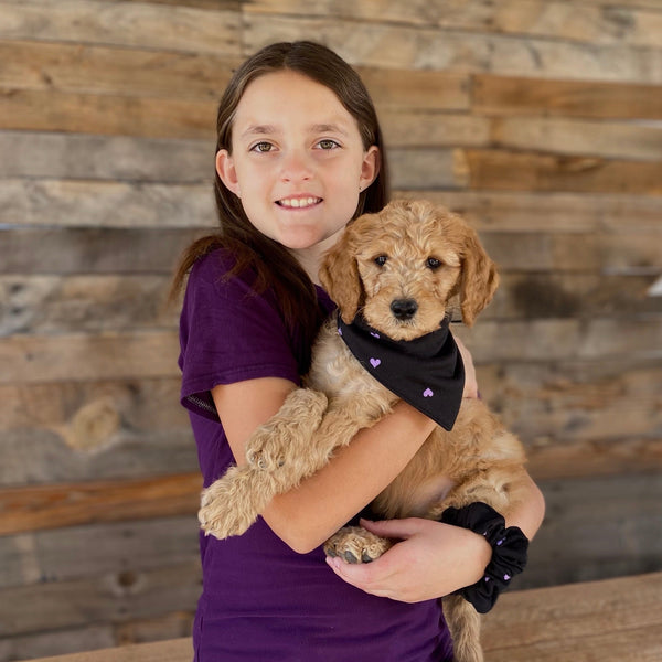 Purple Hearts on black scarf bandana and  matching scrunchie on puppy and kid