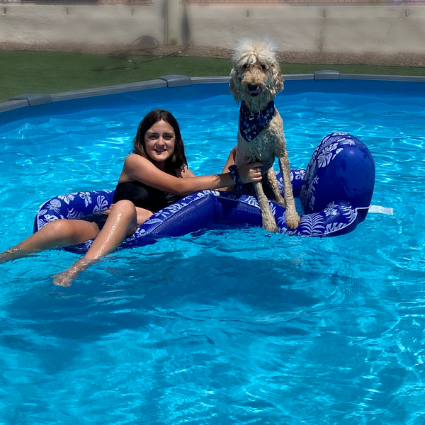 Picture of abstract navy blue scrunchie on wrist, pictured with matching swim scARF (aka cooling bandana for dogs) on a cream goldendoodle. Both are on a raft in a pool. Pipevine Designs.