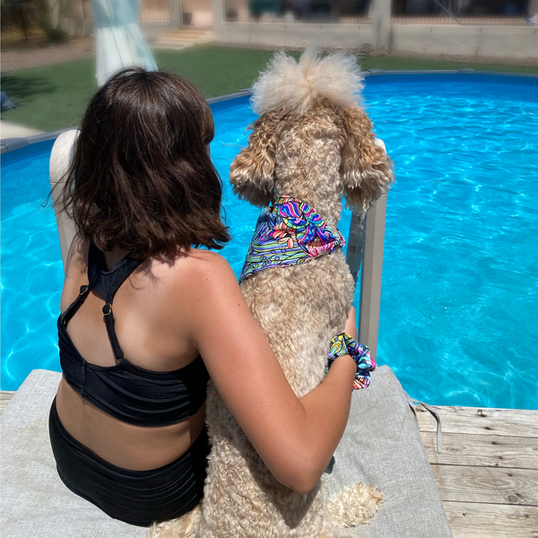 Close up picture of retro flower power swim scrunchie on wrist pictured with matching swim scARF (aka cooling bandana for dogs) on a cream goldendoodle. They are sitting by a pool together. Pipevine Designs.