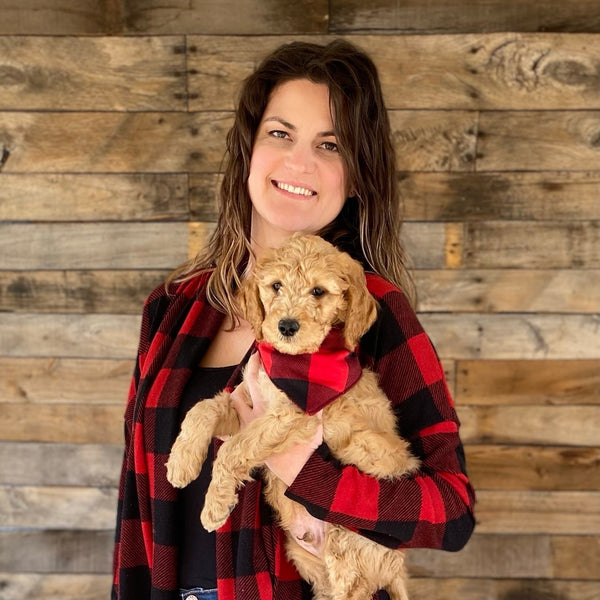 Red and black buffalo check plaid scarf on puppy